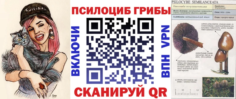 Псилоцибиновые грибы Magic Shrooms Ступино