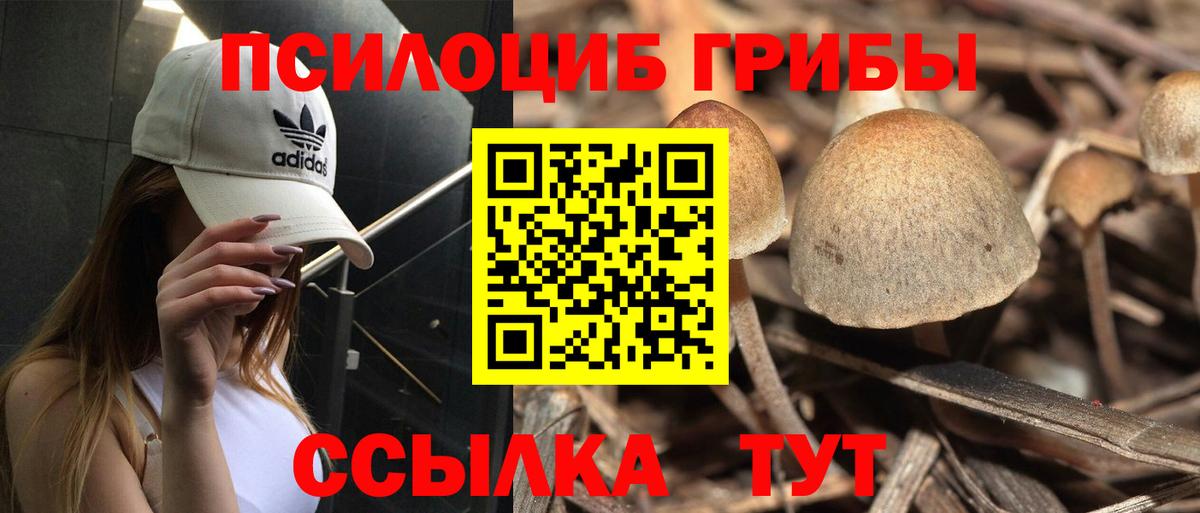 Галлюциногенные грибы GOLDEN TEACHER  Галлюциногенные грибы прущие грибы  Ступино  Вход с VPN 
